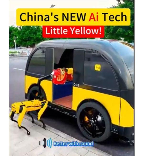 What makes these tiny electric cars such a massive success? Let’s break it down: image