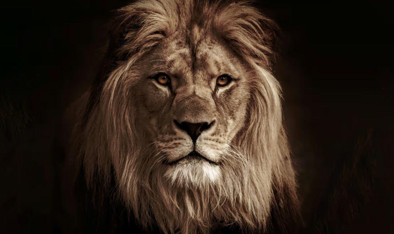 Risk management helps tamp down fear, but it isnโt enough image