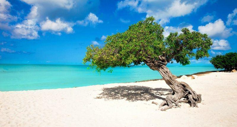 ABC-eilanden: welk eiland is het leukst – Aruba, Bonaire of Curaçao? image