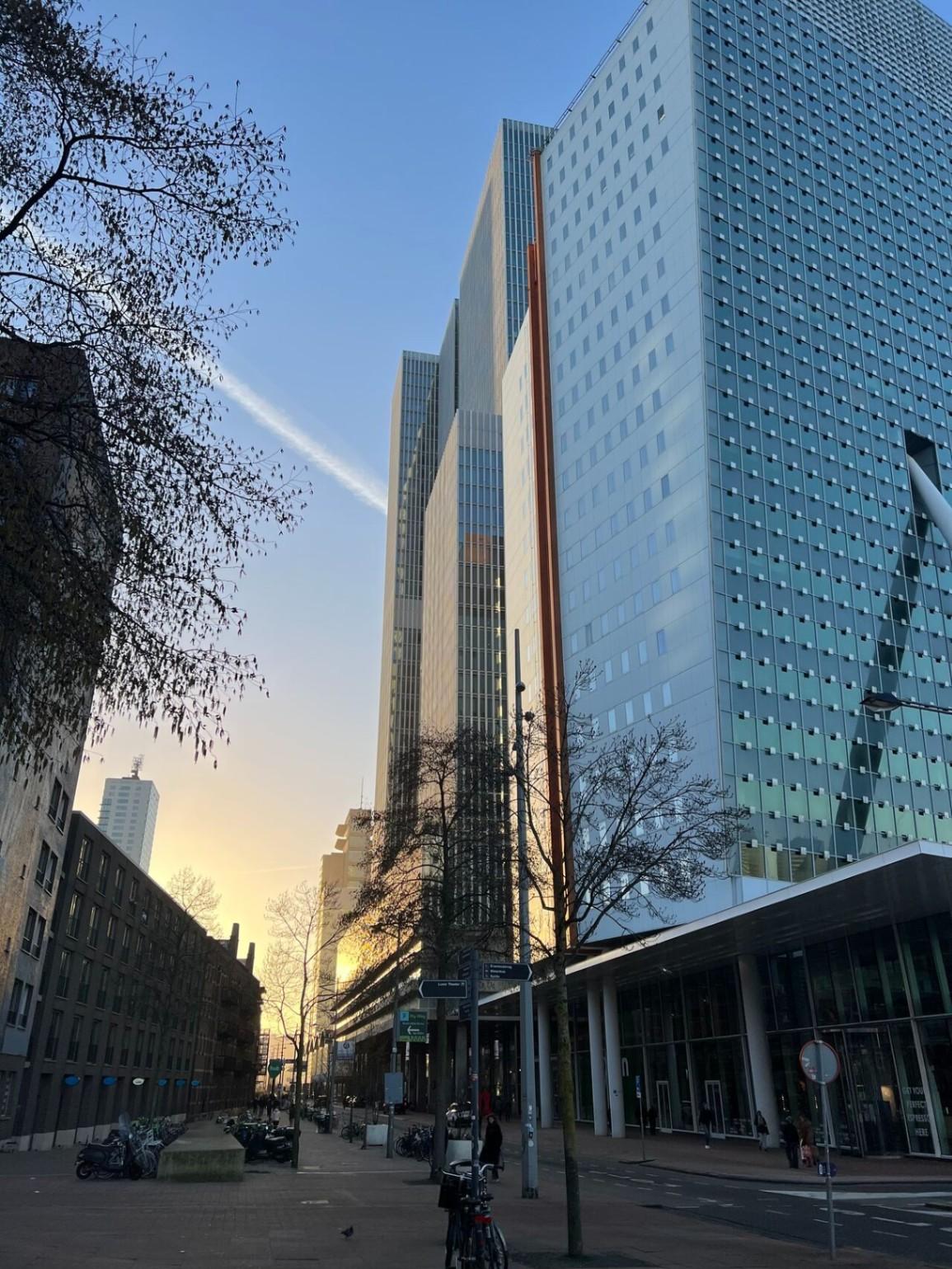 Rotterdam het New York van de toekomst ? image