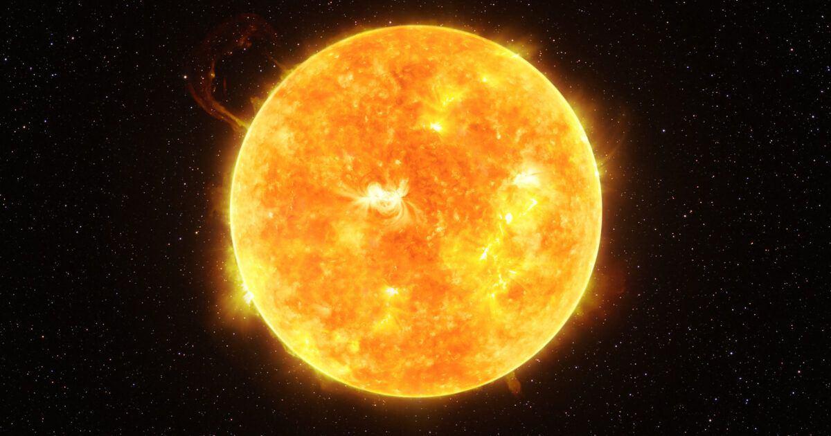 Afgelopen donderdagochtend een interessante zitting gehad voor de rechtbank in Den Bosch. image