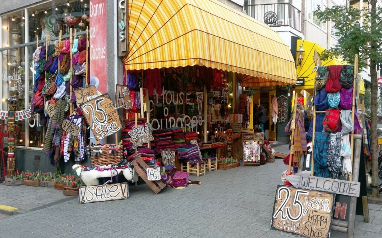 Ready to get a Cactas at Danny the Cactus cult store in Rotterdam , The Netherlands image
