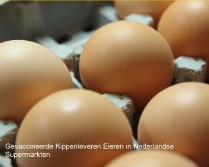 Nederland verkoopt straks eieren van gevaccineerde kippen… en jij merkt het niet. image