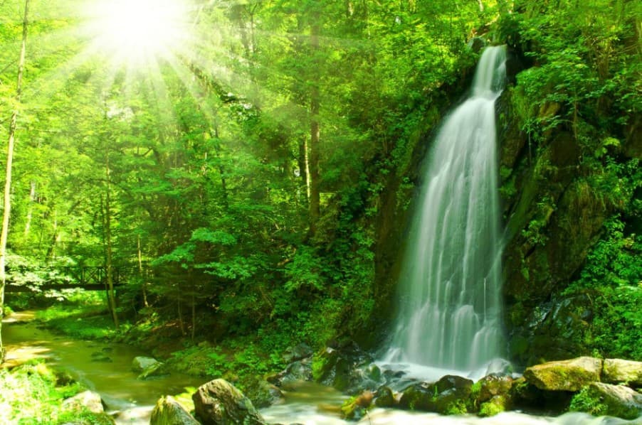 Je hebt het rijk opgebouwd. image